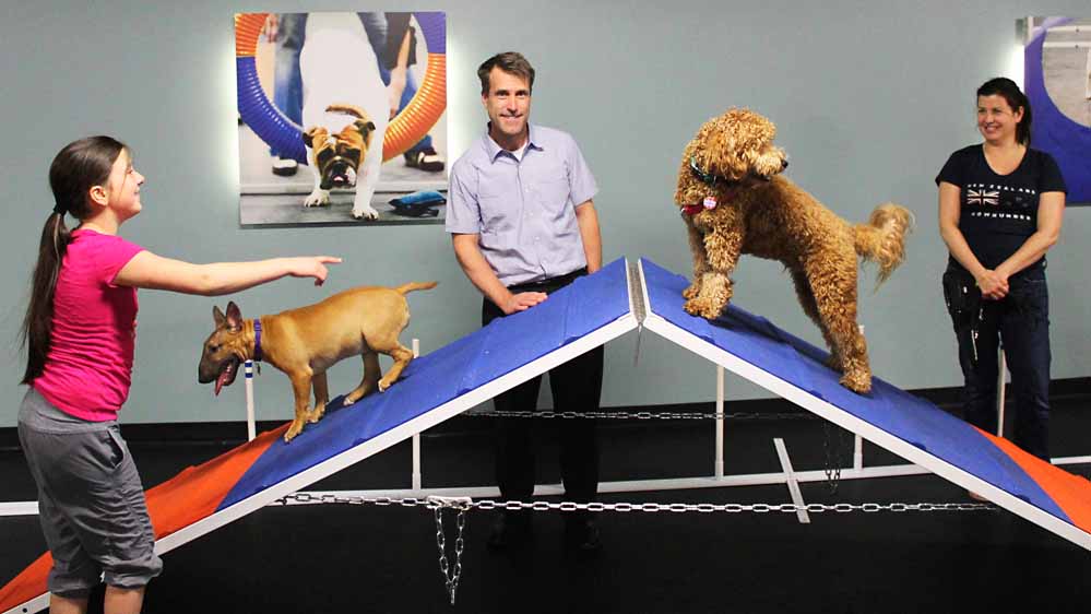 Dog Obedience Training Louisville: A Guide to Training Your Furry Friend